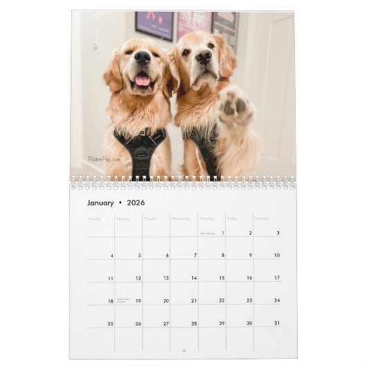 ParkerPup-Kalender 2023 Kalender (Jan 2026)