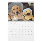 ParkerPup (u. Reser, auch) Kalender 2016 (Mär 2027)