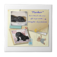 Parkers Geburtsurkunde
