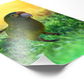 Parkett. Aratinga Canicularis / Papillero Fotodruck (Ecke)