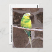 Parkett auf einer Extremität Postkarte (Vorne/Hinten)