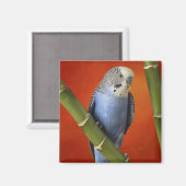 Parkett Magnet (Vorderseite/Rückseite)