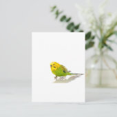 Parkett, Postkarte (Stehend Vorderseite)