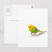 Parkett, Postkarte (Vorne/Hinten)