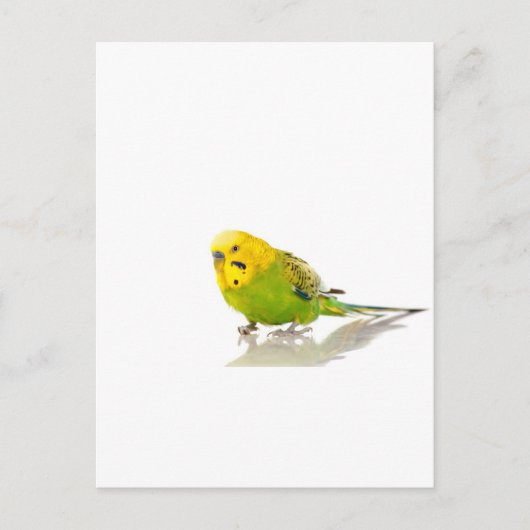 Parkett, Postkarte (Vorderseite)