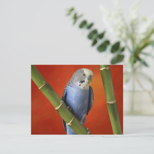 Parkett Postkarte (Stehend Vorderseite)