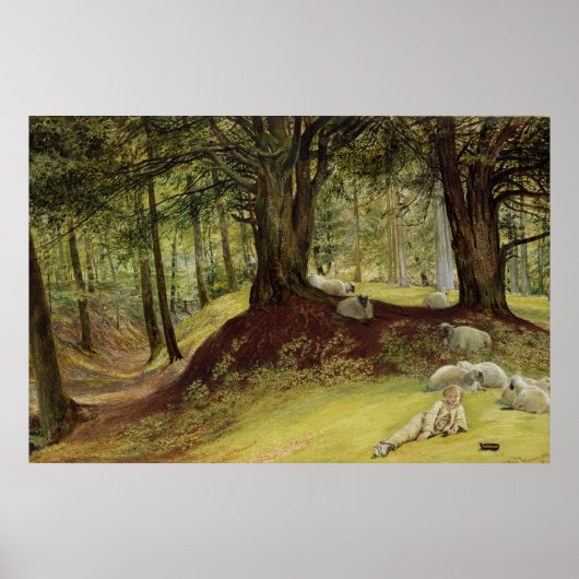 Parkhurst Woods, Abinger, Surrey Poster (Vorne)