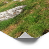 Parknabinna Wedge Tomb Poster (Ecke)