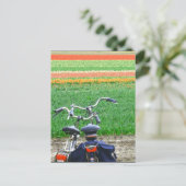 Parkplatz Bicycles Spring Tulip Blume Feld Postkar Postkarte (Stehend Vorderseite)