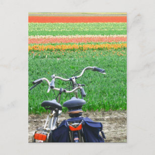 Parkplatz Bicycles Spring Tulip Blume Feld Postkar Postkarte