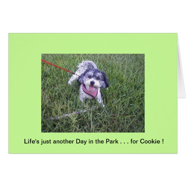 Parktag (Vorderseite (Horizontal))