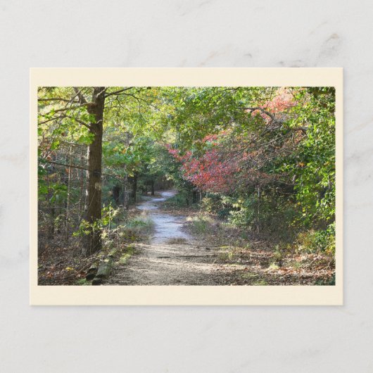 Parkweg Postkarte (Vorderseite)
