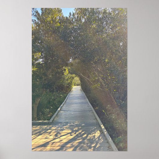 Parkwegplakat Poster (Vorne)