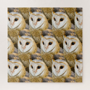 Parlament von Barn Owls Puzzle