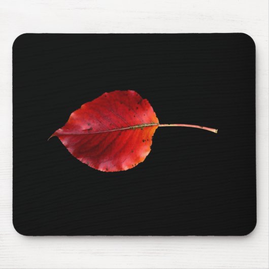Parlamentarier 0215B Blatt 2 WC-Art-Mausunterlage Mousepad (Vorne)