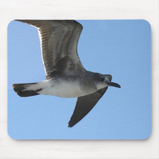 Parlamentarier 6482 Möve 1 WC Mousepad (Vorne)