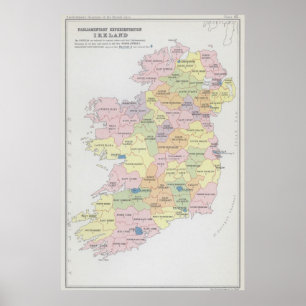 Parliamentary Ireland Poster