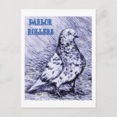 Parlor Roller Pigeon Postkarte (Vorderseite)