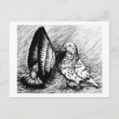Parlor Roller Tauben Postkarte (Vorderseite)