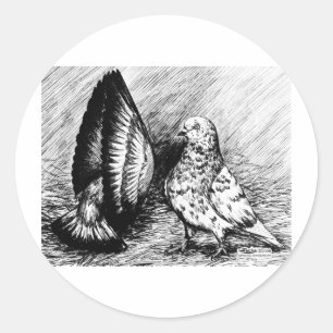 Parlor Roller Tauben Runder Aufkleber