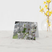 Parly White Cherry Blossom Grußkarte Karte (Gelbe Blume)
