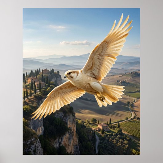 Parmesan-Falken-Klippen Poster (Vorne)