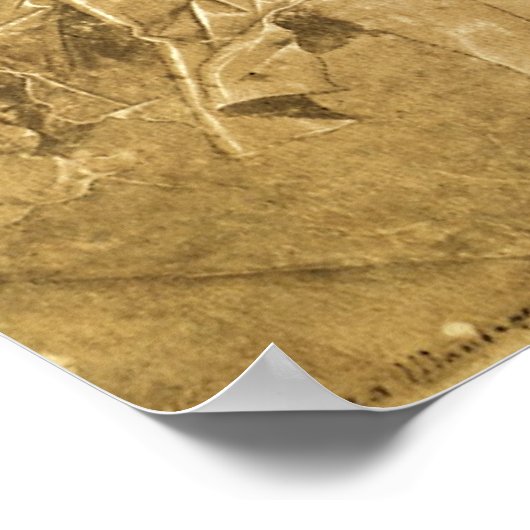 Parnassus, tanzende Maus von Andrea Mantegna Poster (Ecke)