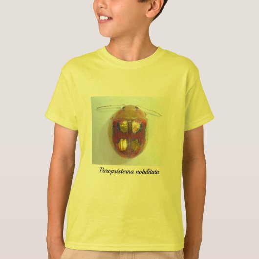 Paropsisterna nobilitata, Blattkäfer T-Shirt (Vorderseite)