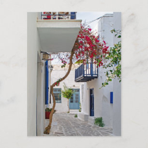 Paros Parikia Sommerallee Postkarte