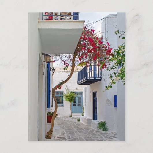 Paros Parikia Sommerallee Postkarte (Vorderseite)
