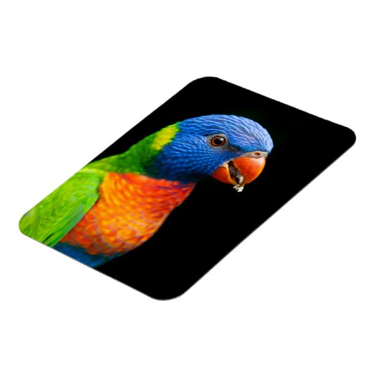 Parot Magnet (Linke Seite)