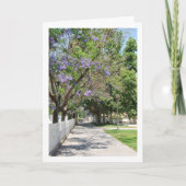 Parque de la Bombilla, Lliria, Valencia, Spanien Karte (Vorderseite)