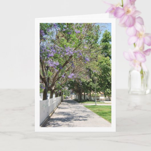 Parque de la Bombilla, Lliria, Valencia, Spanien Karte (Orchidee)