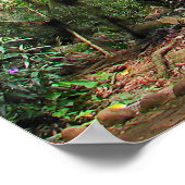 Parque Gallineral of San Gil Poster (Ecke)