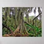 Parque Gallineral of San Gil Poster (Vorne)