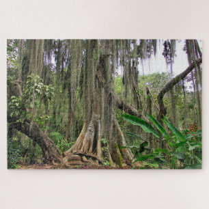 Parque Gallineral San Gil Jig Sebastian Puzzle