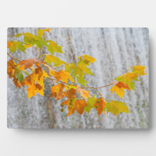 Parque Natural del Monasterio - Herbstlaub Fotoplatte