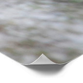 Parque Natural del Monasterio - Herbstlaub Poster (Ecke)