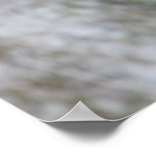 Parque Natural del Monasterio - Herbstlaub Poster (Ecke)