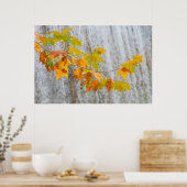 Parque Natural del Monasterio - Herbstlaub Poster (Küche)