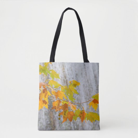 Parque Natural Del Monasterio - Herbstlaub Tasche (Vorderseite)