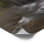 Parque Natural del Monasterio - The Restaurant Poster (Ecke)