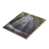 Parque Natural Del Monasterio - Wasserfall Fliese (Seite)