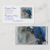 parrot-23 visitenkarte (Vorne/Hinten)