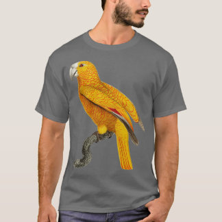 Parrot 29 Public Domain Picture T-Shirt