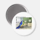 Parrot Badezimmer Fixtures Funny Cartoon Geschenke Magnet (Vorderseite/Rückseite)
