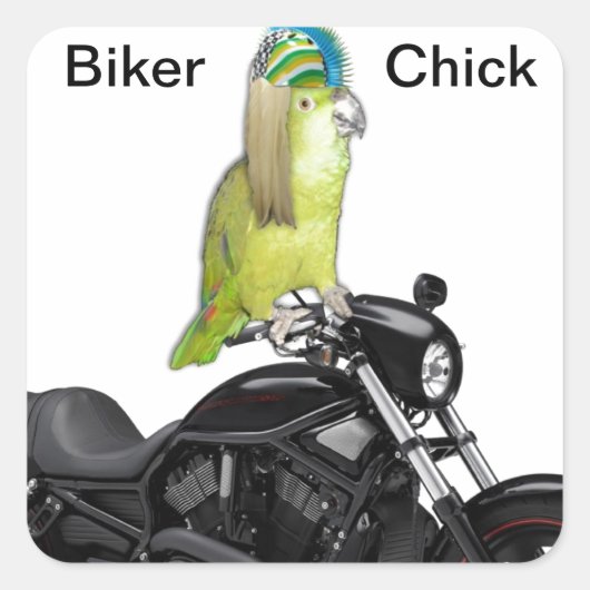 Parrot Biker Chick Quadratischer Aufkleber (Vorderseite)