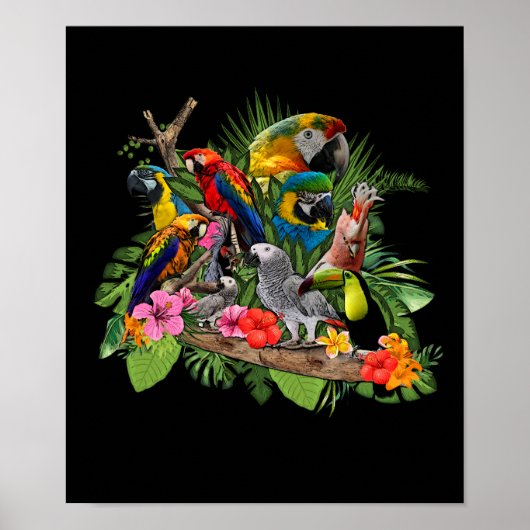Parrot Bird African Gray Parrot Cockatiel Poster (Vorne)
