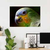 Parrot Bird Tropical Artwork Foto Poster (Heimbüro)