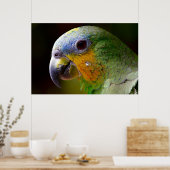 Parrot Bird Tropical Artwork Foto Poster (Küche)
